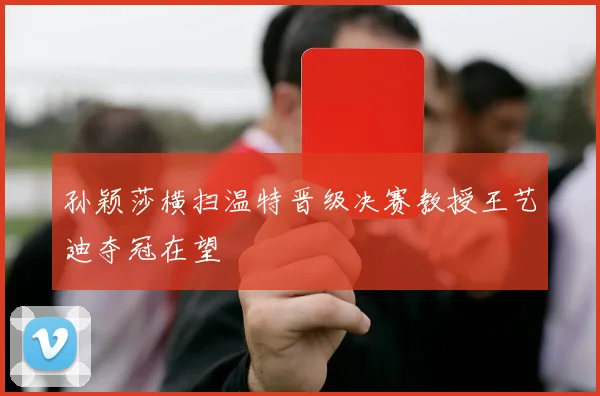 孙颖莎横扫温特晋级决赛教授王艺迪夺冠在望