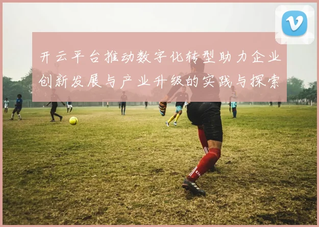 开云平台推动数字化转型助力企业创新发展与产业升级的实践与探索