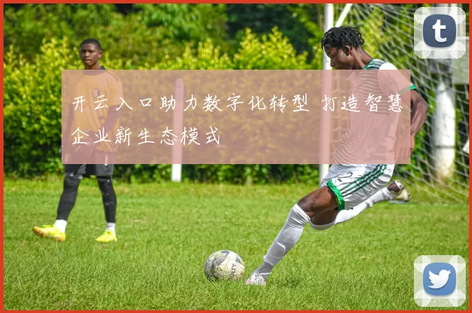 开云入口助力数字化转型 打造智慧企业新生态模式