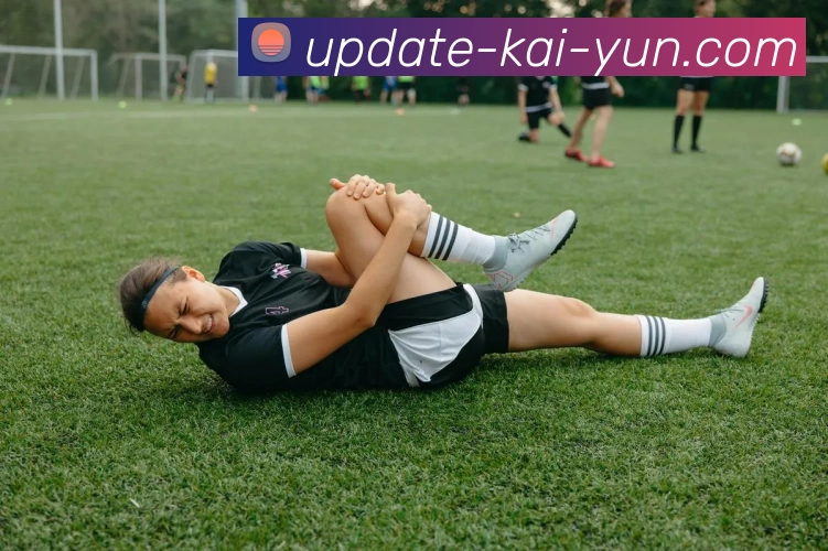 开云平台展示图