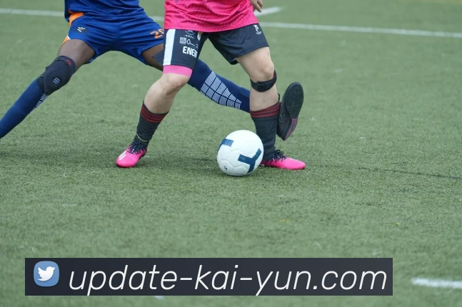 开云官网全站App